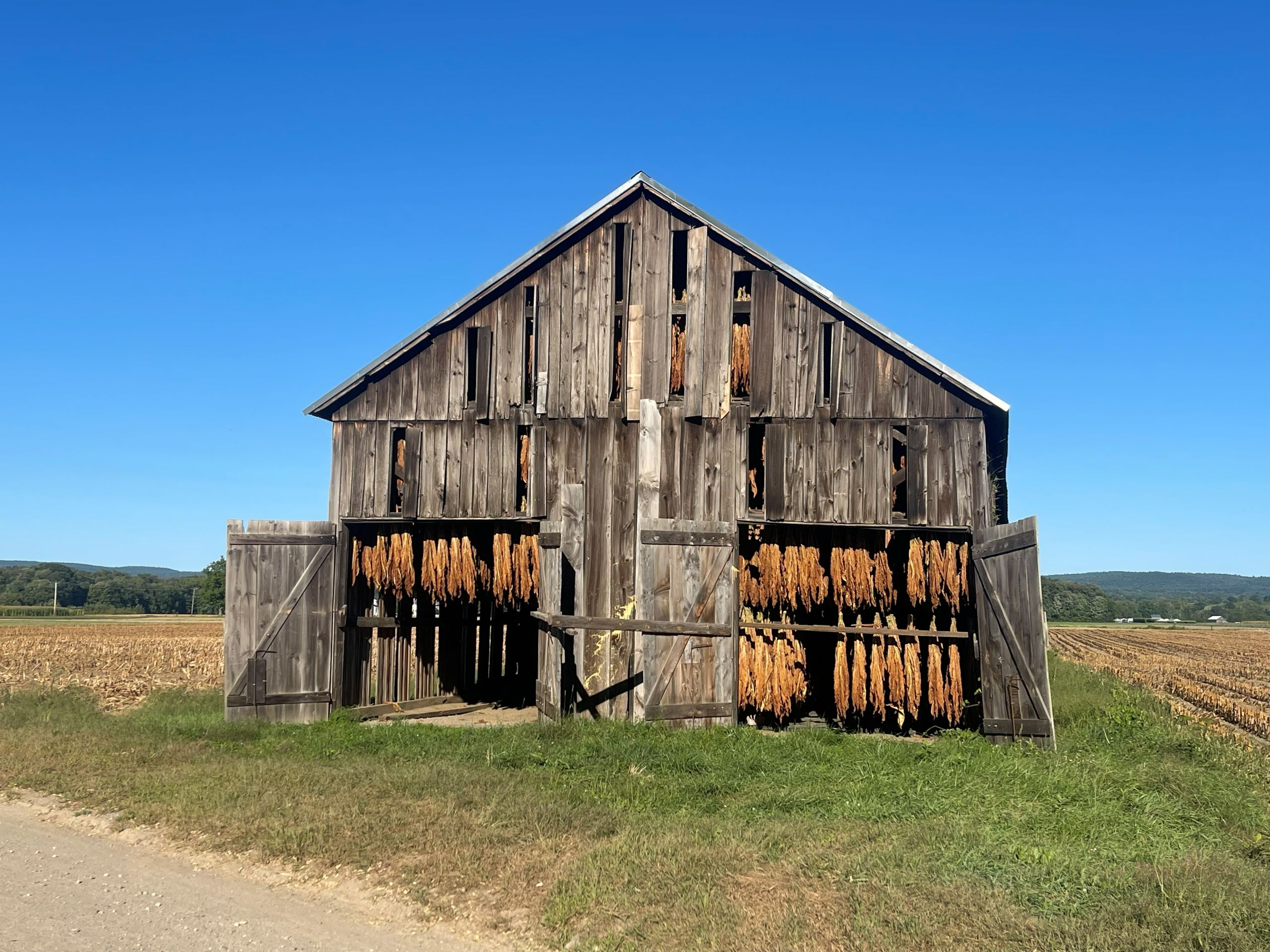 Tobacco curing barn