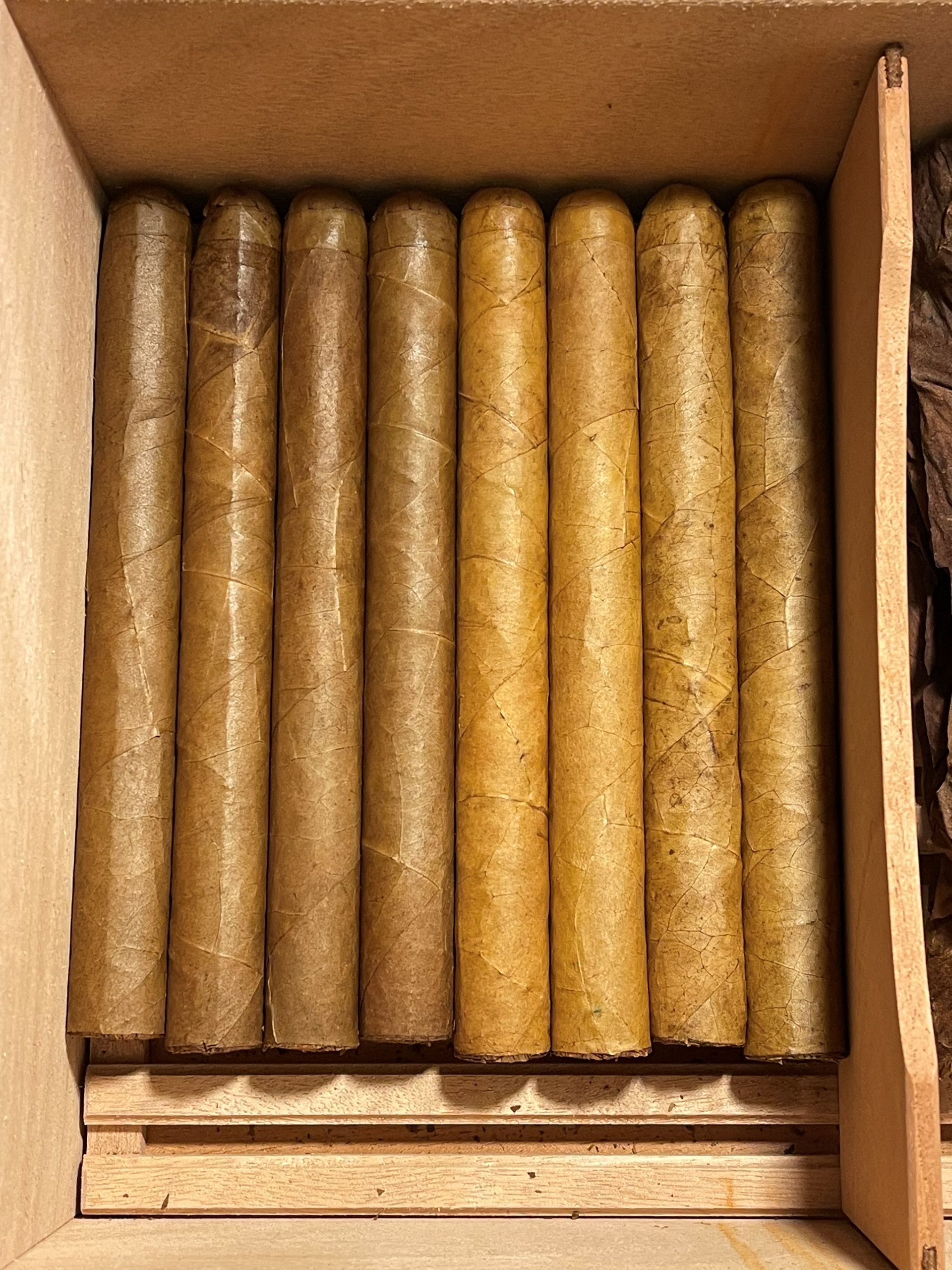 Cigars in a box